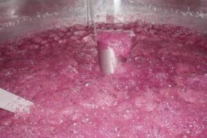 fermentarea vinului
